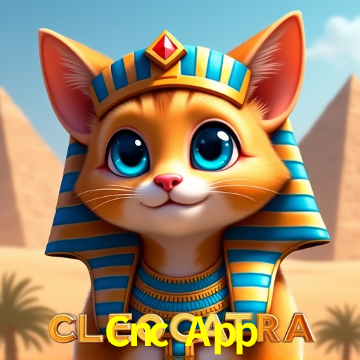 Cnc App: Seu Especialista em Apostas Esportivas Brasileiras